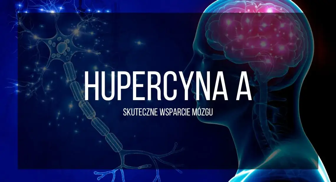 Suplementy na pamięć i koncentrację - skuteczne wsparcie dla twojego mózgu