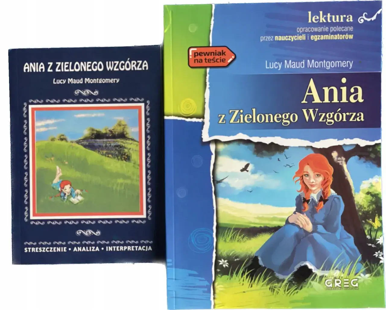 Kim jest autor książki ania z zielonego wzgórza i jej historia?