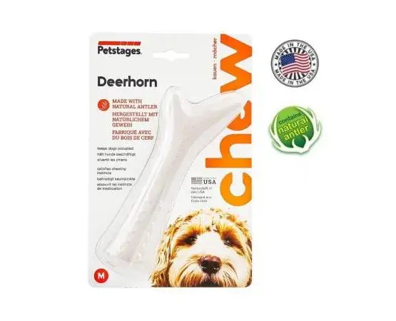 Róg jelenia dla psa od kiedy? Bezpieczny wiek dla Twojego pupila