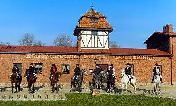 Stadnina koni Nowęcin: najlepsze jazdy konne i obozy jeździeckie