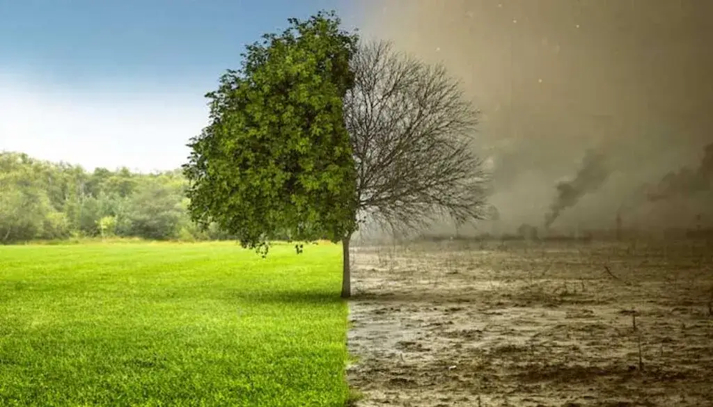 Czyste powietrze Toruń - jak uzyskać dofinansowanie i poprawić jakość powietrza