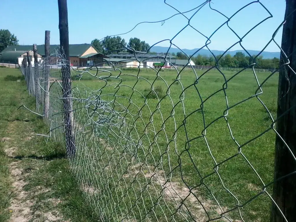 Ogrodzenie z siatki leśnej - jak ustawić słupki, by uniknąć problemów