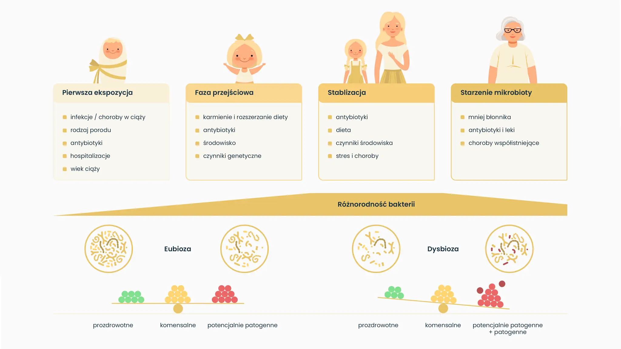 Badanie mikrobiomu jelitowego: metody, koszty, wyniki i jak się przygotować