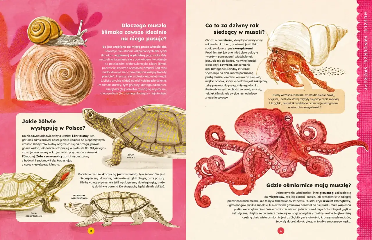 Fascynujące zwierzęta Azji - poznaj zachwycającą różnorodność gatunków