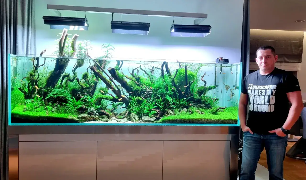 Akwarium dla początkujących: Co jest niezbędne? Uniknij błędów!