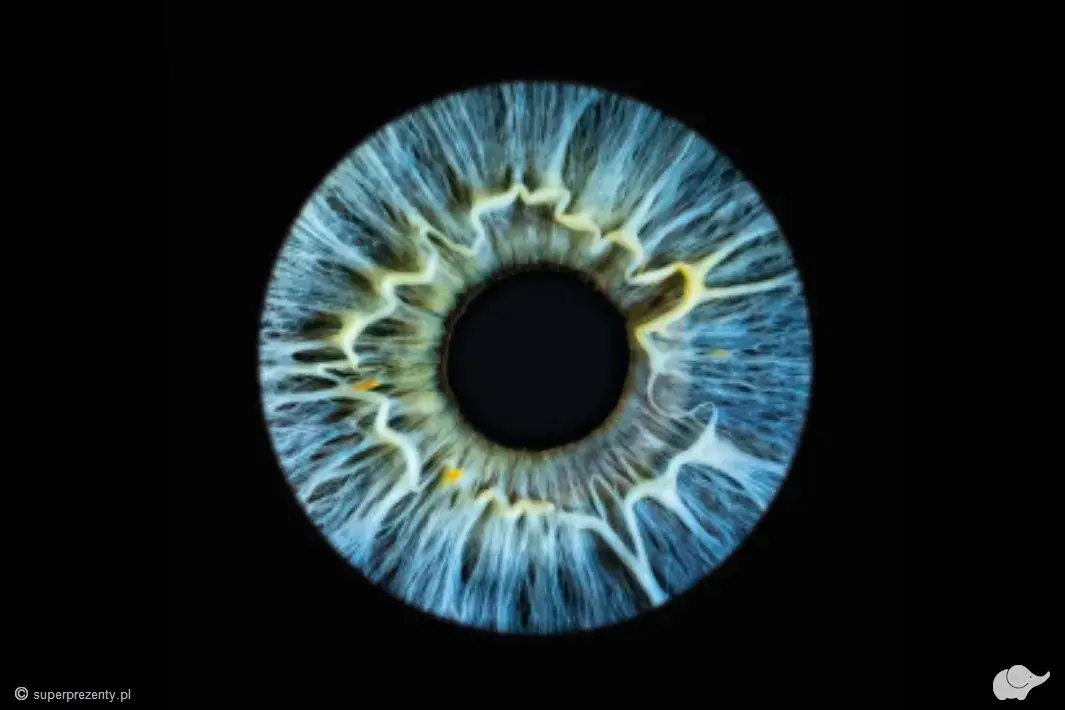 Zdjęcie tęczówki w Polsce: Gdzie, jak i ile kosztuje? Pełny przewodnik