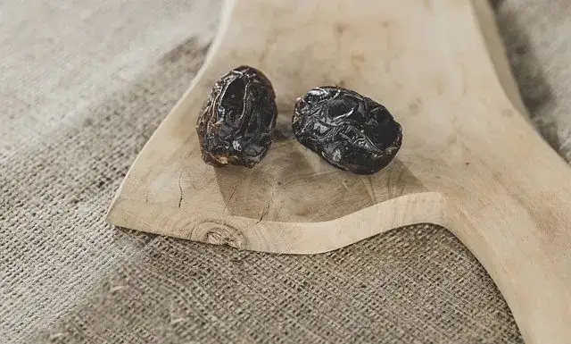 Czy pies może jeść daktyle? Ekspert ostrzega przed ryzykiem!