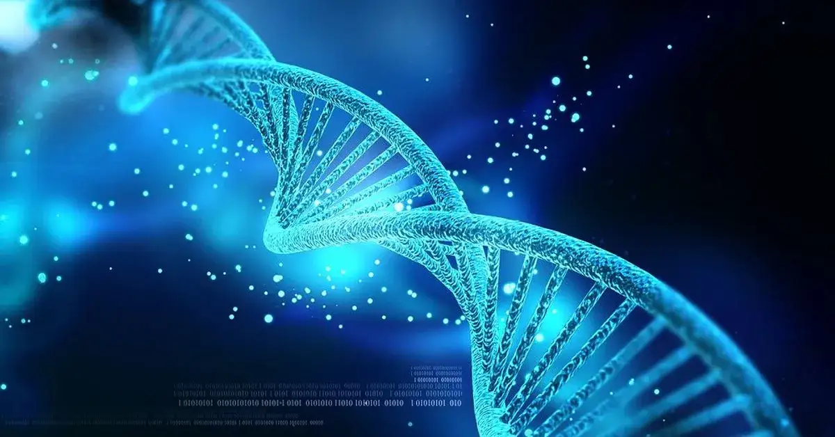 Kto odkrył DNA? Odkryj tajemnice współpracy naukowców