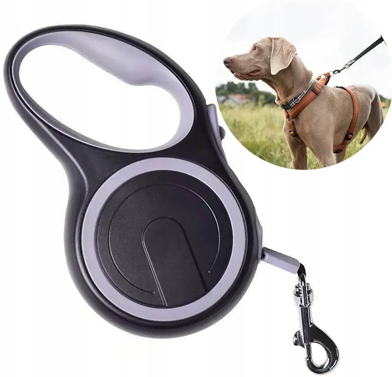 Ile kosztuje smycz dla psa? Ceny, które mogą Cię zaskoczyć