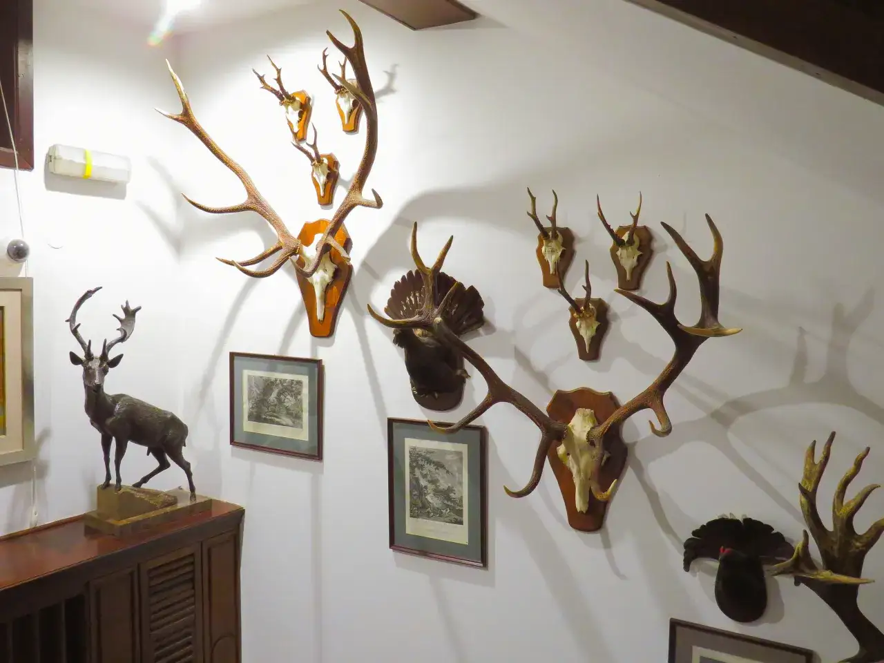 Muzeum Łowiectwa i Jeździectwa Warszawa: Darmowy piątek, co zwiedzić?