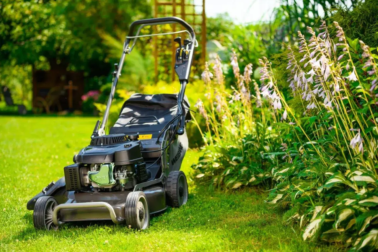 Kosiarka spalinowa Weibang: Opinie, modele i porównanie [Przewodnik]