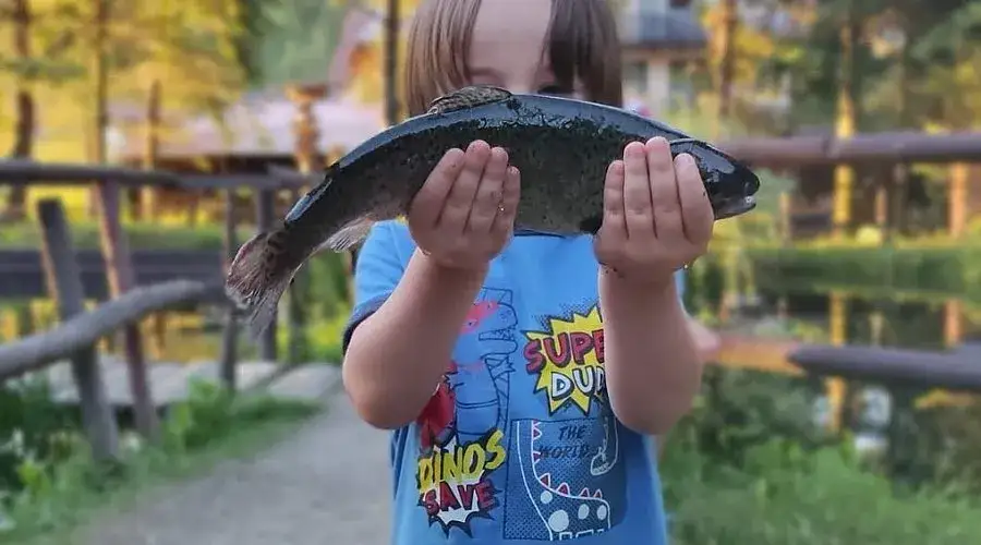 Gdzie zjeść najlepszego pstrąga w urokliwej Szczawnicy? 3 miejsca