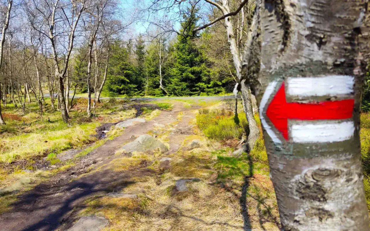 Kolory szlaków PTTK: Obalamy mit trudności. Co liczy się w górach?