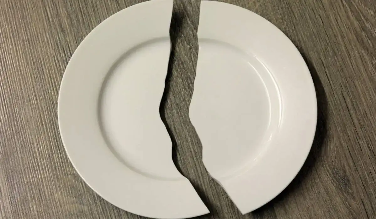 Gdzie wyrzucić talerze? Sprawdź najlepsze opcje utylizacji