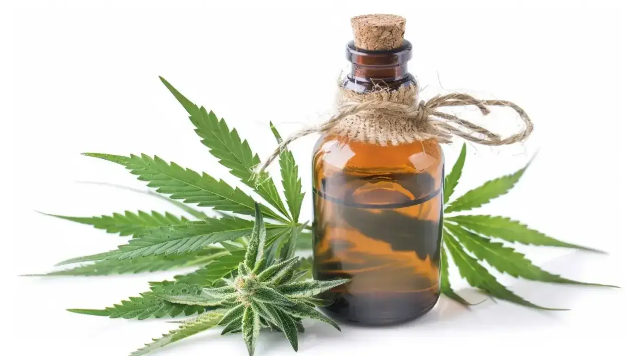 Olej konopny czy CBD: co lepsze dla zdrowia i codziennego życia?