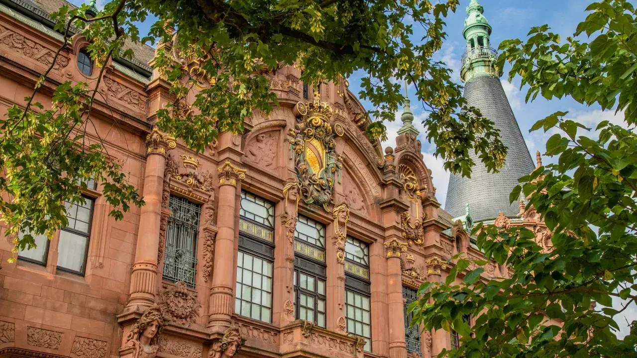 Heidelberg uniwersytet: Historia, programy i życie studenckie