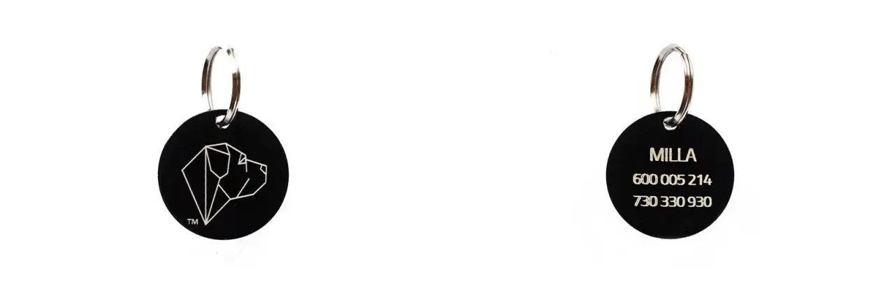 Adresówka dla psa co napisać, aby nigdy go nie zgubić