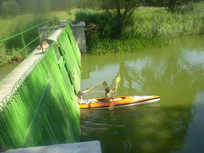 Spływy kajakowe Obra – odkryj najpiękniejsze trasy i wyzwania