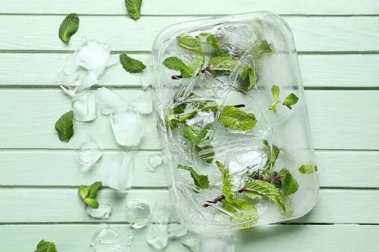 Jak prawidłowo mrozić miętę - skuteczne sposoby na długie przechowywanie