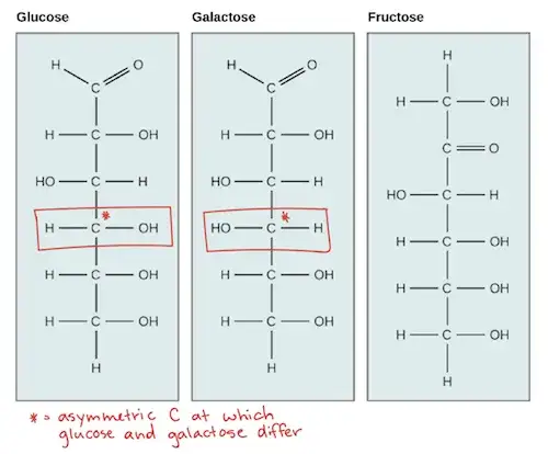 Budowa glukozy: Kluczowe informacje o strukturze i funkcji