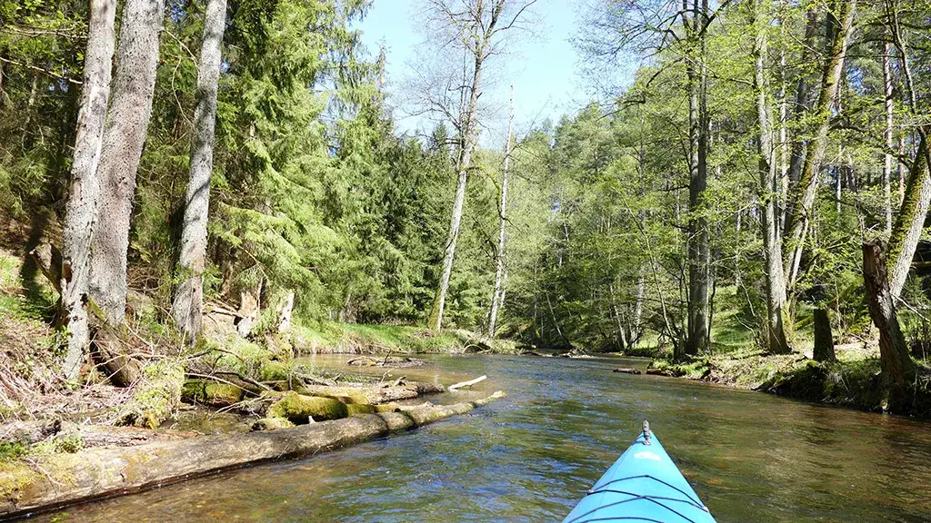 Spływy kajakowe Marózka: odkryj piękno rzeki i uniknij przeszkód