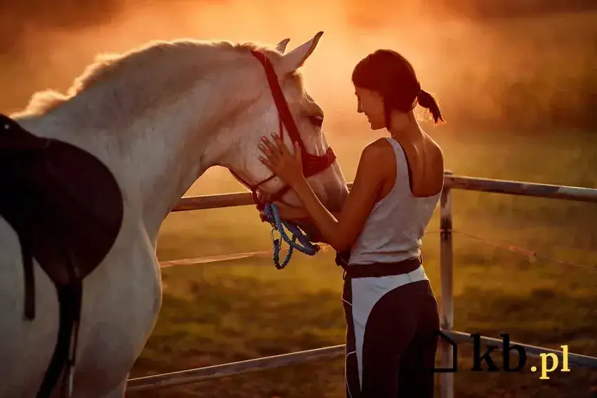Jazda konna w Olsztynie: Stadniny, ceny, oferta. Którą wybrać?