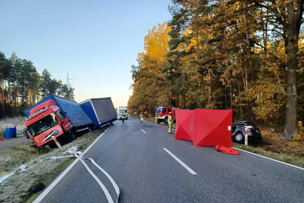 Pasy zablokowane po wypadku? Pilne kroki, naprawa, koszty i ryzyko
