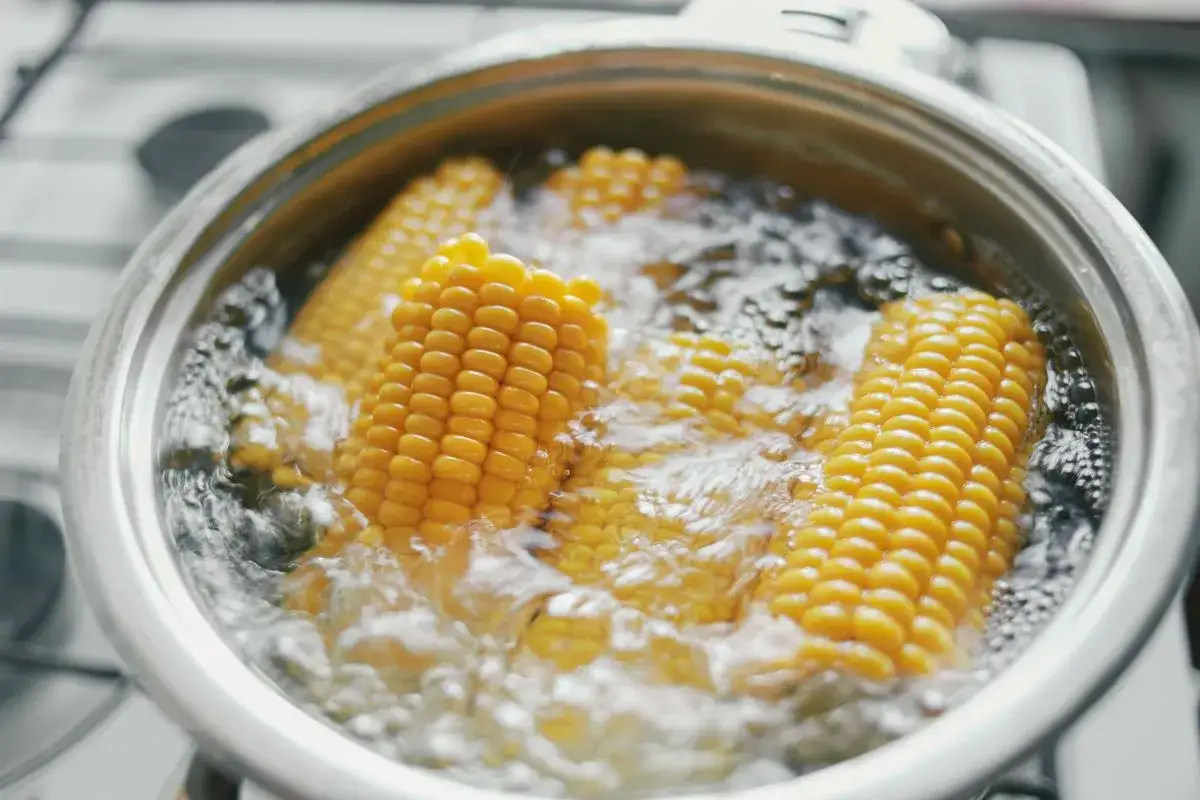 Kolby kukurydzy gotują się w garnku, tworząc idealną bazę do przynęty na ryby.