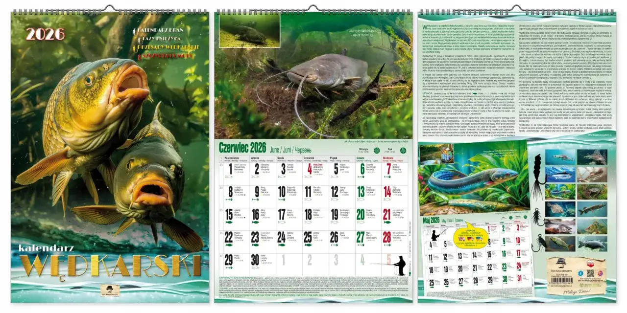 Profesjonalny kalendarz brań na 2026 rok z karpiami i sumem. Zawiera informacje o łowieniu ryb i fazach księżyca.