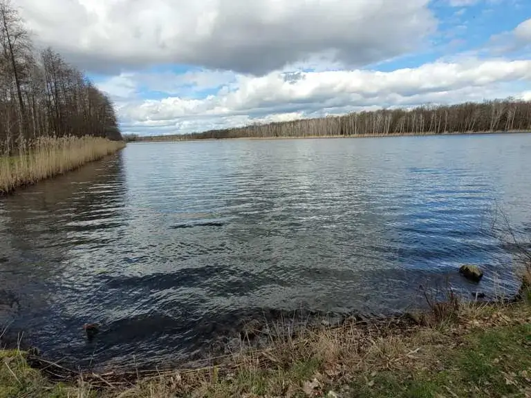 Najlepsze trasy rowerowe w Lubinie - odkryj malownicze szlaki