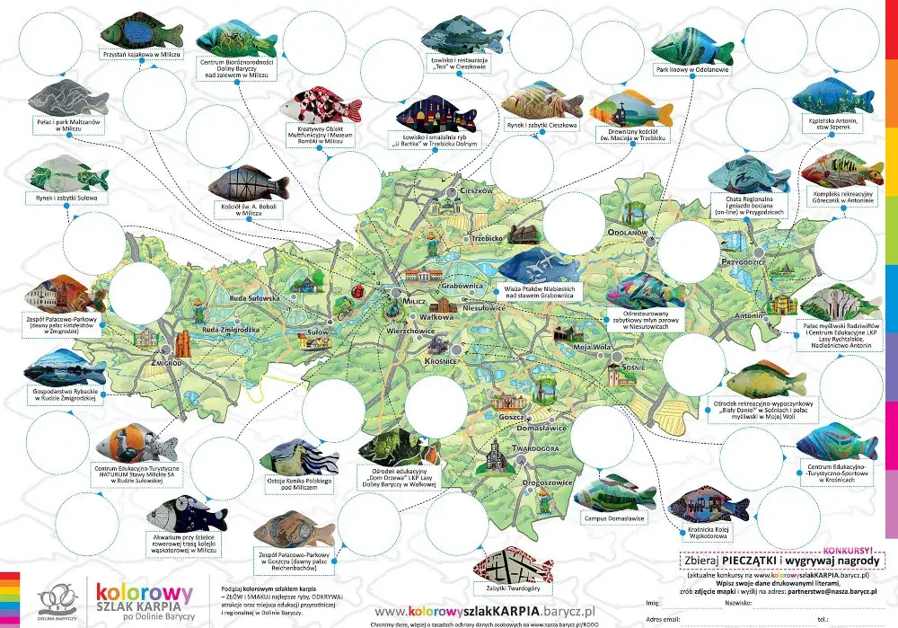 Dolina Baryczy: Gdzie zjeść karpia i regionalne przysmaki? Przewodnik