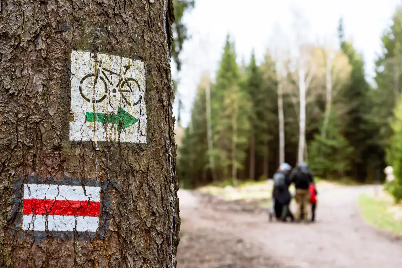 Szlak rowerowy (zielony) i szlak pieszy (czerwony) w polskich górach. Różnica między szlakiem czerwonym a czarnym jest widoczna na znakach.