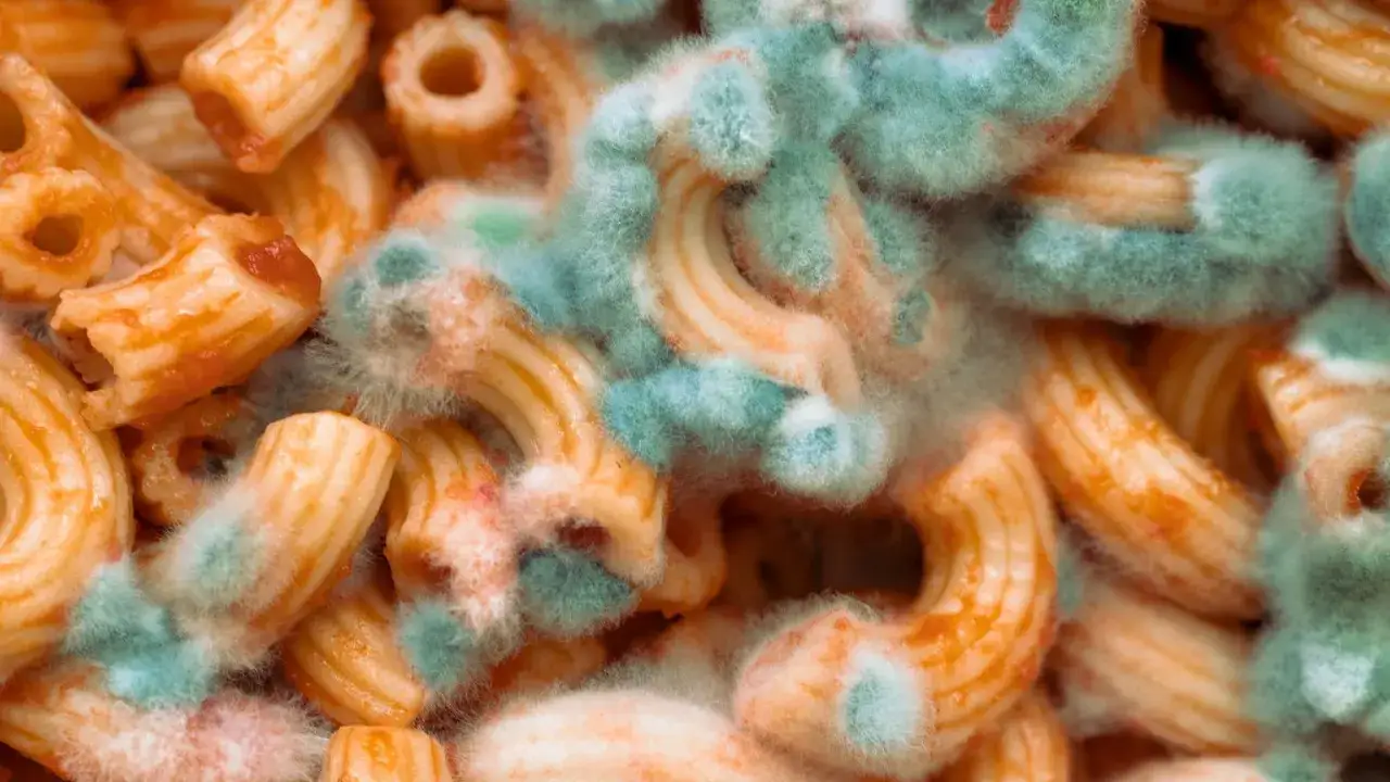 Gdzie wyrzucić ugotowany makaron? Prosta odpowiedź i błędy