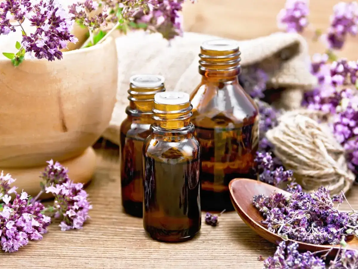 Butelki z ciemnego szkła, świeże i suszone zioła oregano, moździerz i sznurek. Idealne do nauki, jak zrobić olej z oregano.