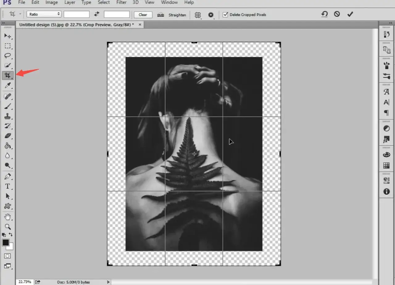Widok Photoshopa z zaznaczonym narzędziem przycinania i obrazem kobiety z paprocią na plecach.