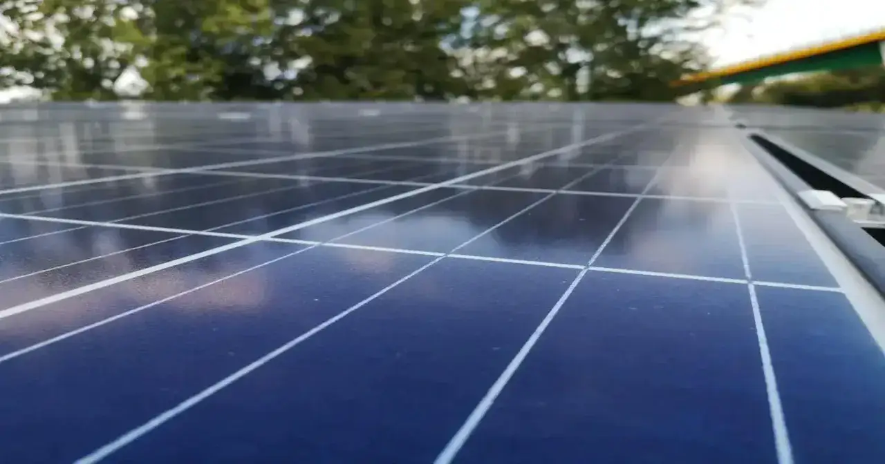 Zbliżenie na panele fotowoltaiczne, które zamieniają światło słoneczne w energię. W tle drzewa i most.