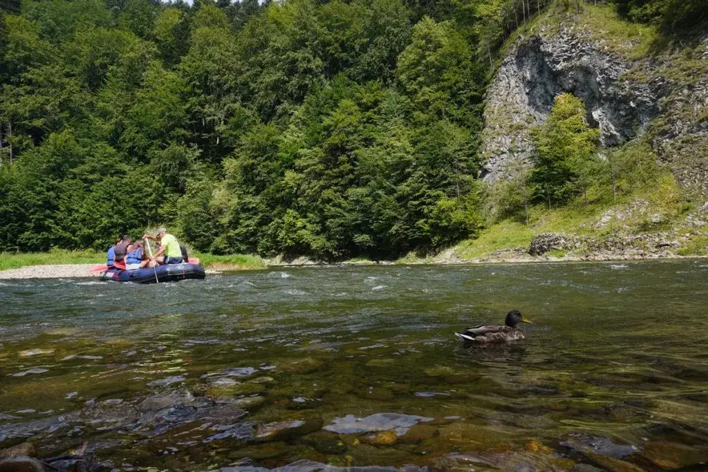 Spływ kajakowy Szczawnica – najlepsze trasy i porady dla każdego