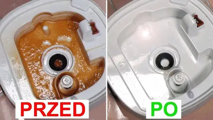 Jak wyczyścić nawilżacz powietrza, aby uniknąć pleśni i osadu