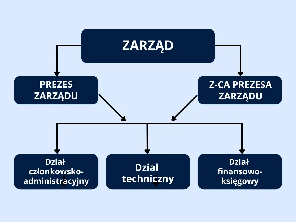 Kto kontroluje prezesa spółdzielni? Hierarchia władzy