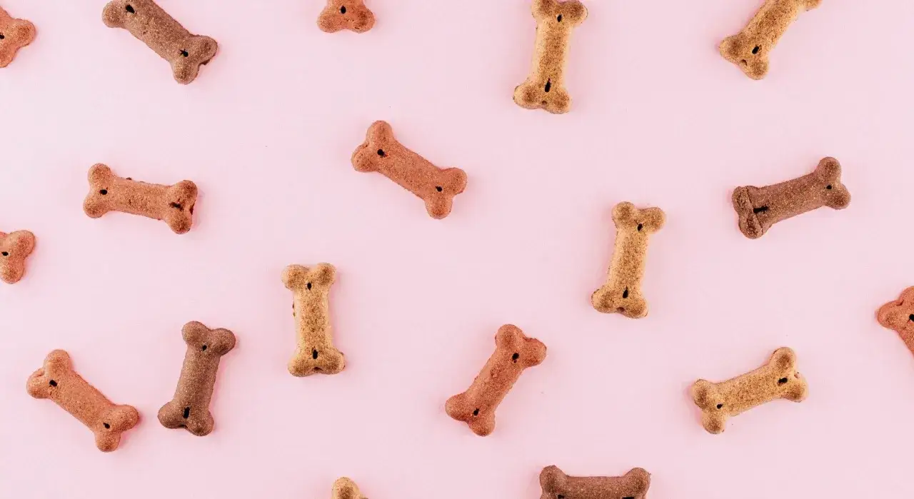 Jak zrobić przekąski dla psa, które są zdrowe i smaczne dla pupila