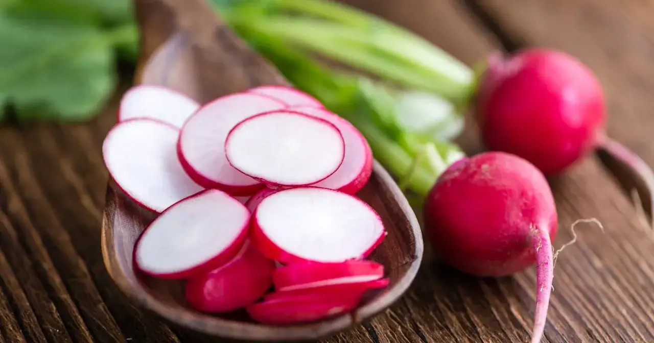 Plasterki rzodkiewki w drewnianej łyżce, obok całe warzywa. Zastanawiasz się, ile rzodkiewek dziennie to zdrowa porcja?