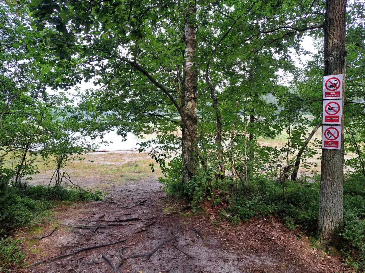 Rezerwat przyrody Jezioro Piaseczno - odkryj jego ukryte skarby