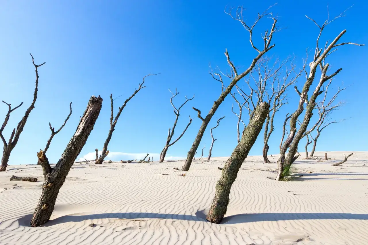 Jak dojechać na ruchome wydmy z Łeby? Porównaj transport!