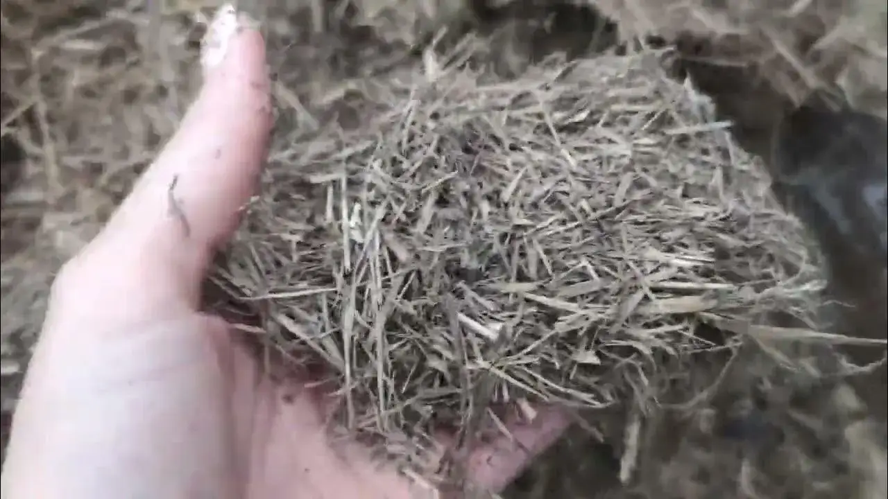 Co zrobić ze starym sianem? 5 praktycznych sposobów na wykorzystanie