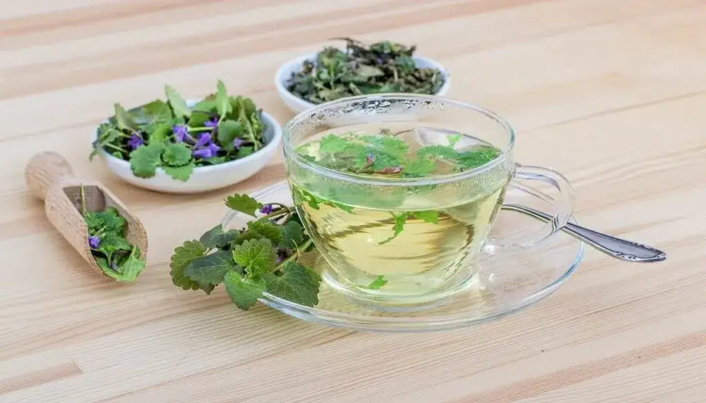 Jaka herbata na mdłości? 5 ziół, które szybko przyniosą ulgę!