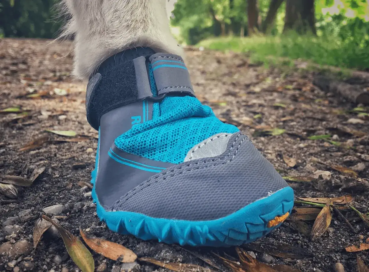 Jak zrobić buty dla psa - proste kroki, aby chronić jego łapy