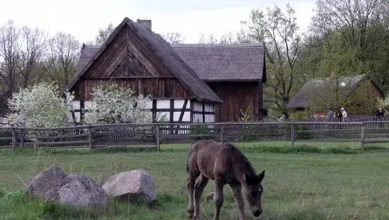 Więcbork atrakcje: odkryj ukryte skarby i nieznane miejsca