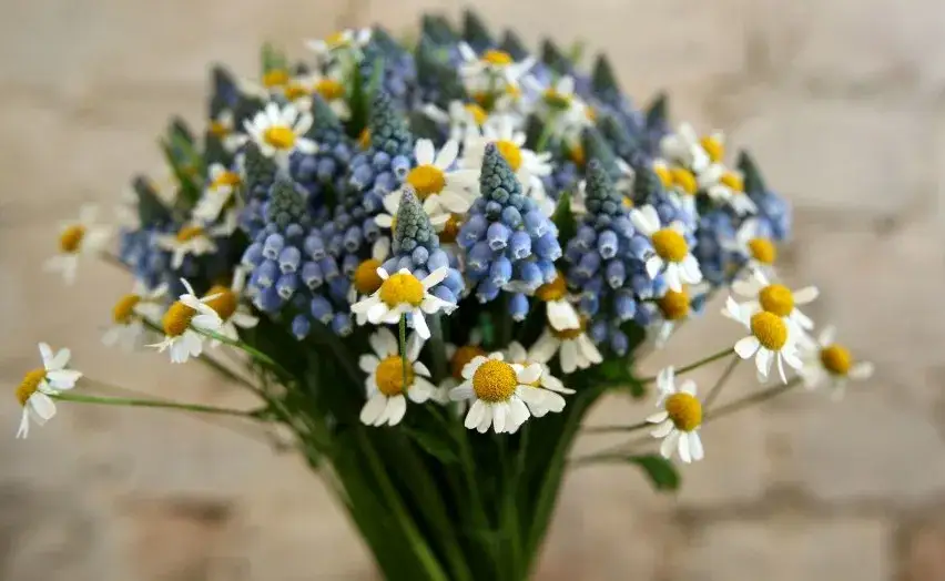 Na której randce kwiaty? Sprawdź, kiedy to najlepszy moment