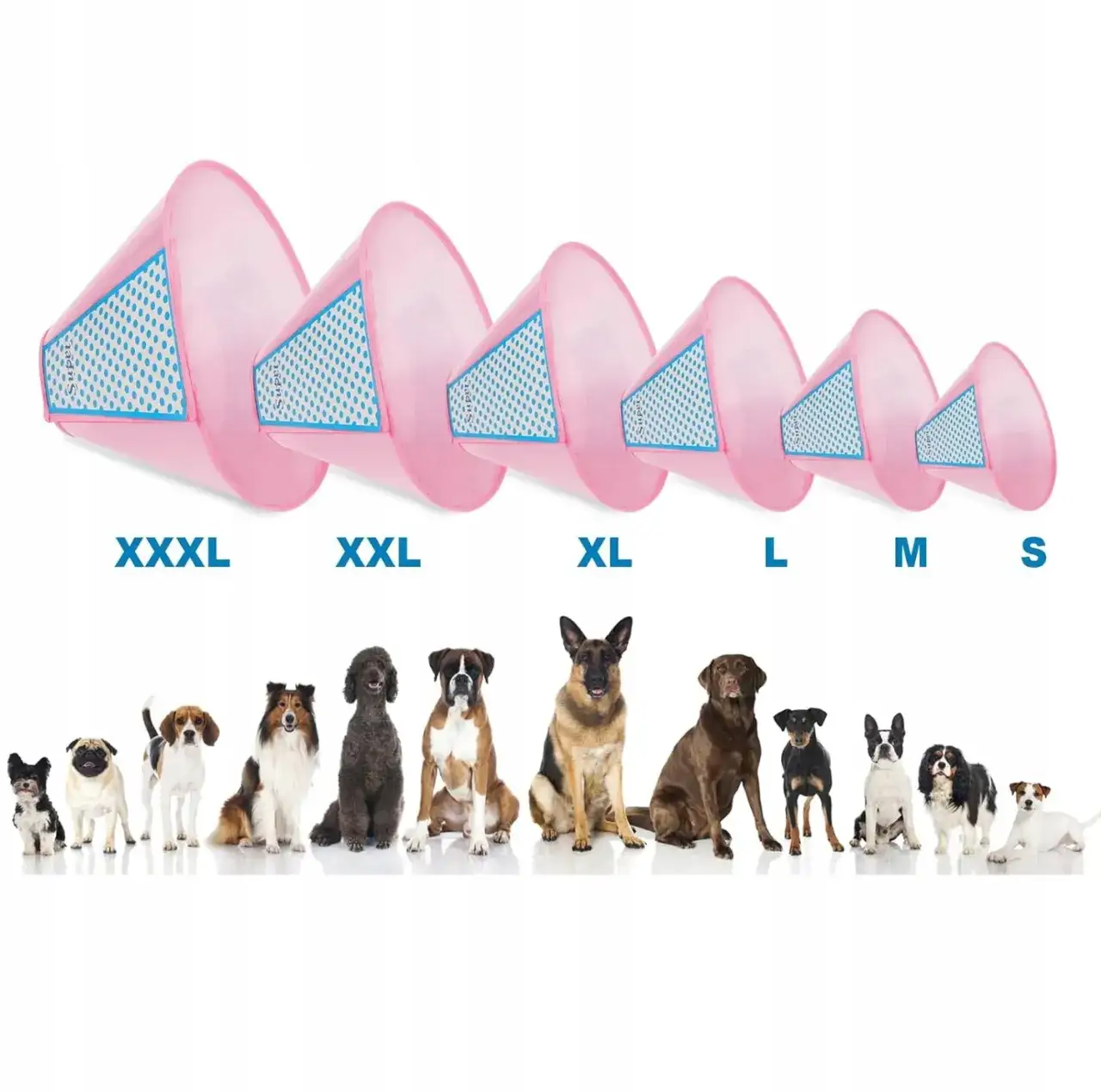 Ile kosztuje kołnierz dla psa? Ceny i porównanie różnych modeli