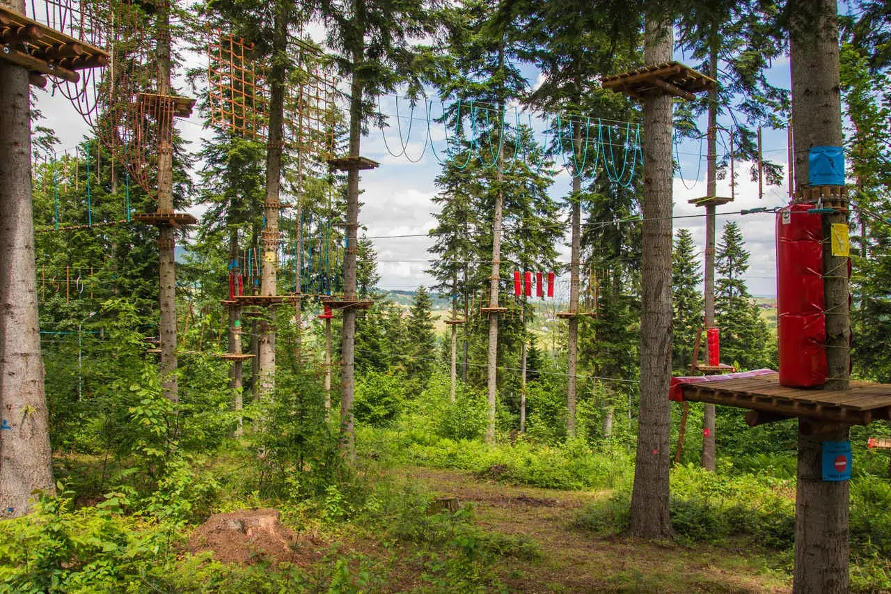 Park linowy w lesie z platformami i przeszkodami na drzewach.